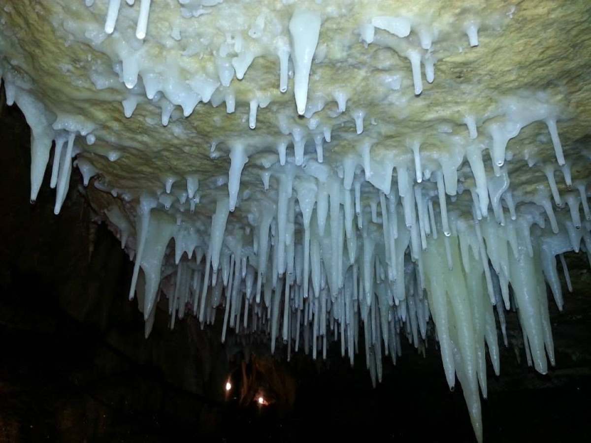 White stalactites hanging from a cave ceiling.