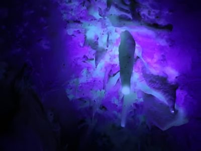 Abstract purple and blue glowing texture with organic shapes.