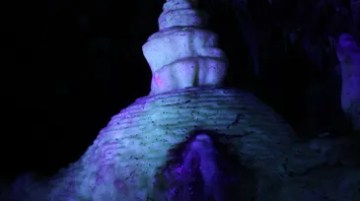 Stalagmite illuminated with purple and blue lights in a dark cave.