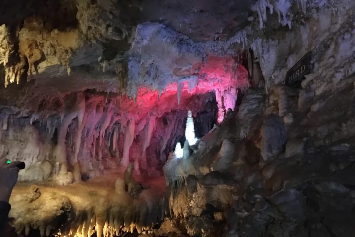 Colorful illuminated cave with stalactites and stalagmites.