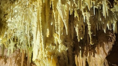 Stalactites hanging from cave ceiling with dim lighting.