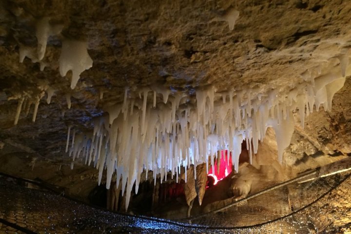 Stalactites hang from the cave ceiling with soft lighting in the background.